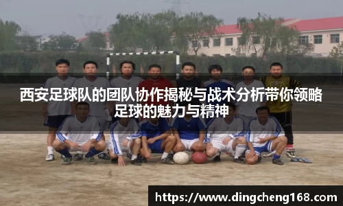 西安足球队的团队协作揭秘与战术分析带你领略足球的魅力与精神